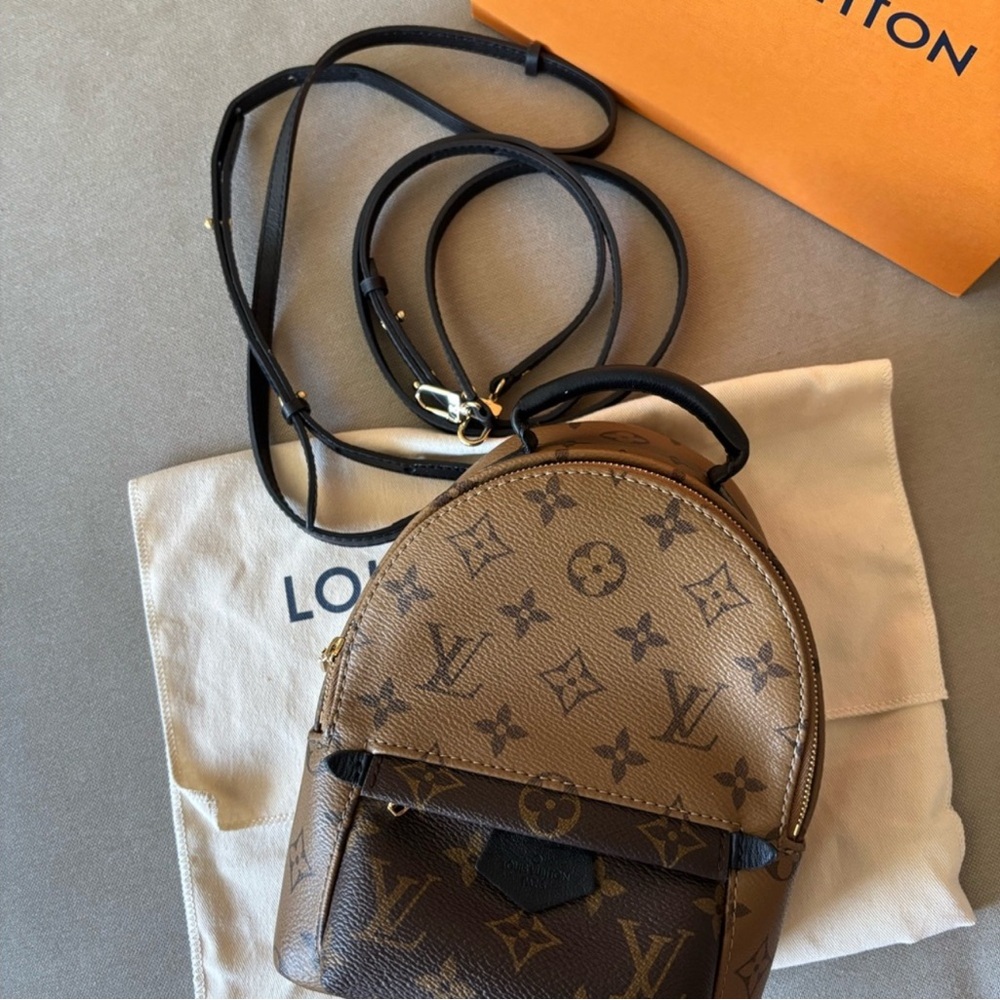 Louis Vuitton Palm Springs Reverse mini